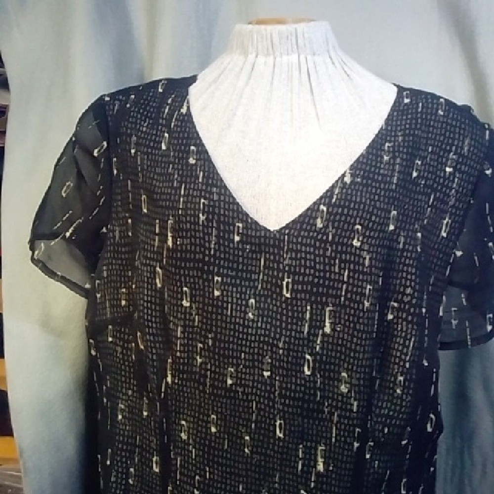 Black 2 Layer Sheer Women's Plus Dress